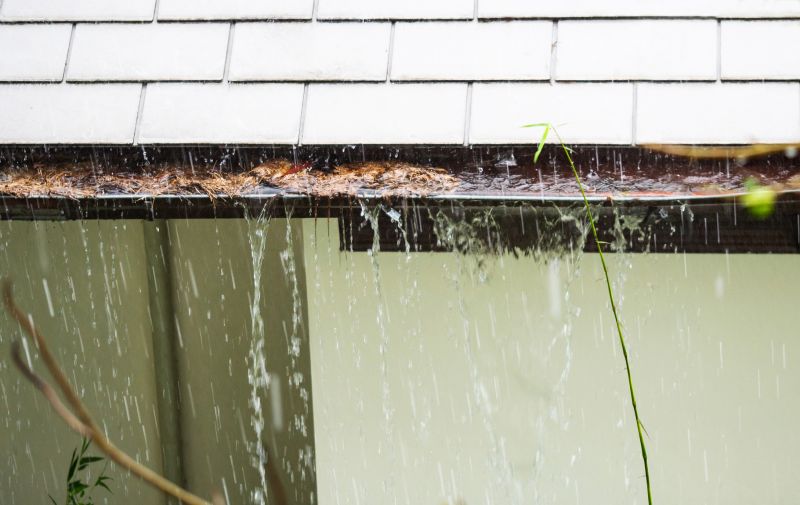 Clogged Gutter Blockage