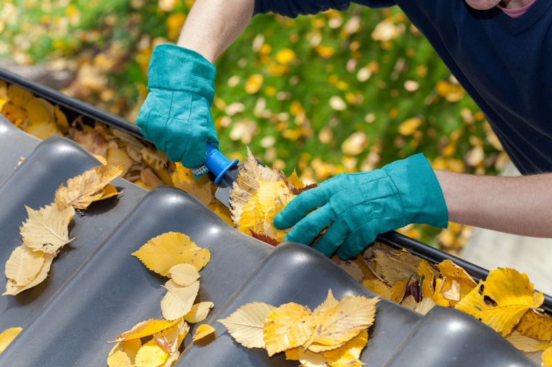 Gutter Inspection During Fall