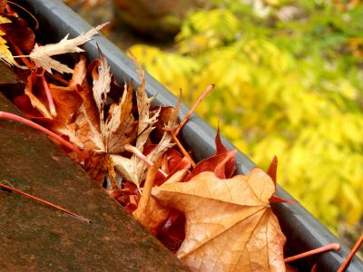 Gutter Maintenance in Fall